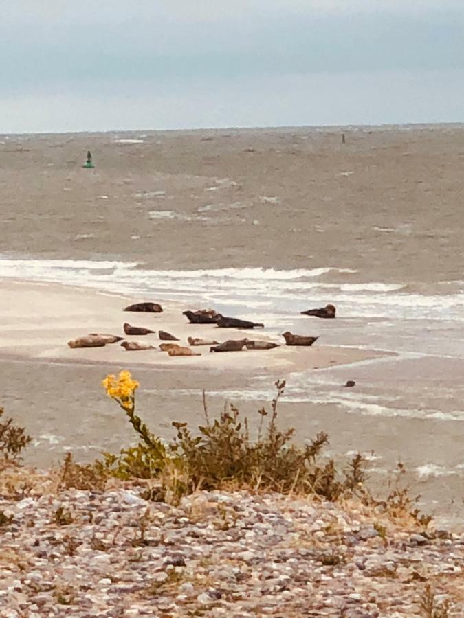 Hotel Le Parc Aux Huitres Cayeux-sur-Mer Esterno foto